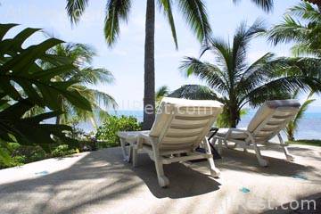 Coconut Village 5
